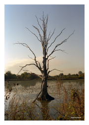 Heinz Wildlife Refuge at Tinicum