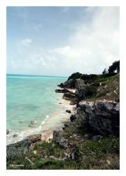 Bermuda's Shore