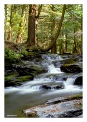 Falling Water 3